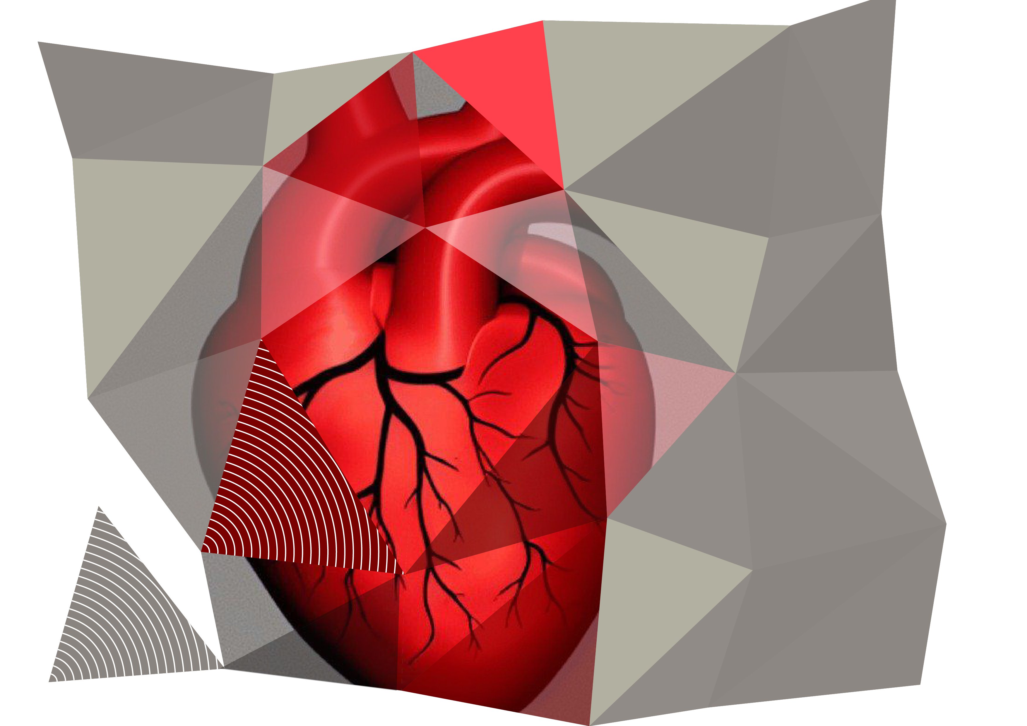 COST catalyses cardiovascular research - Vimarsana News