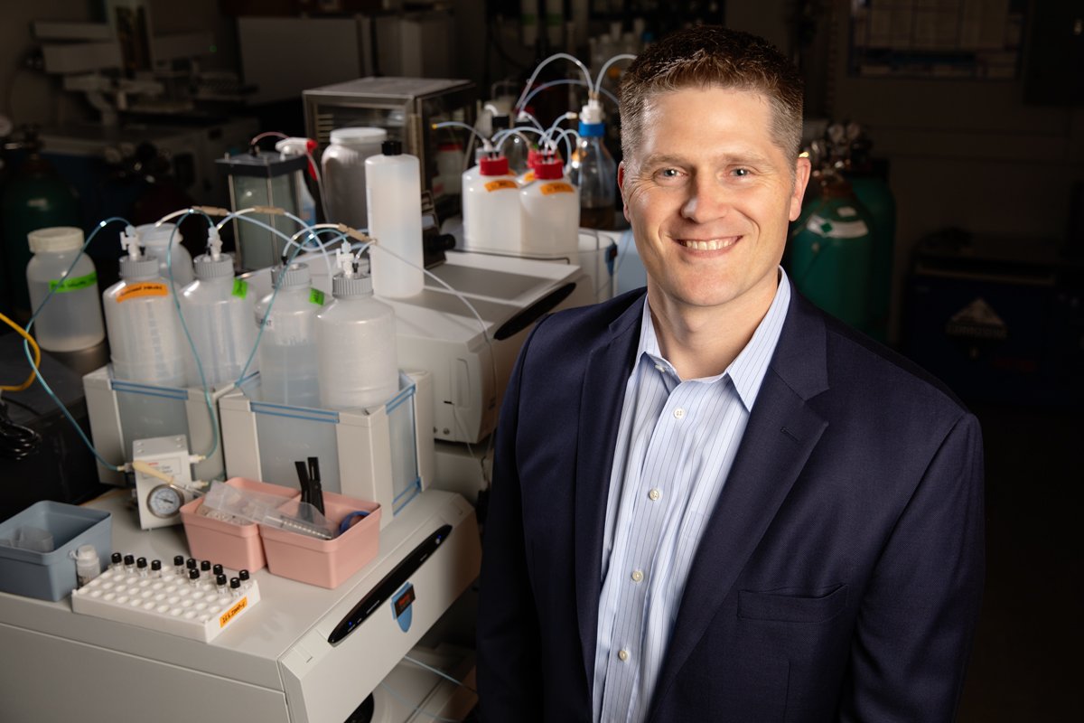 Study: Insect protein slows weight gain, boosts health status in obese mice - Vimarsana News