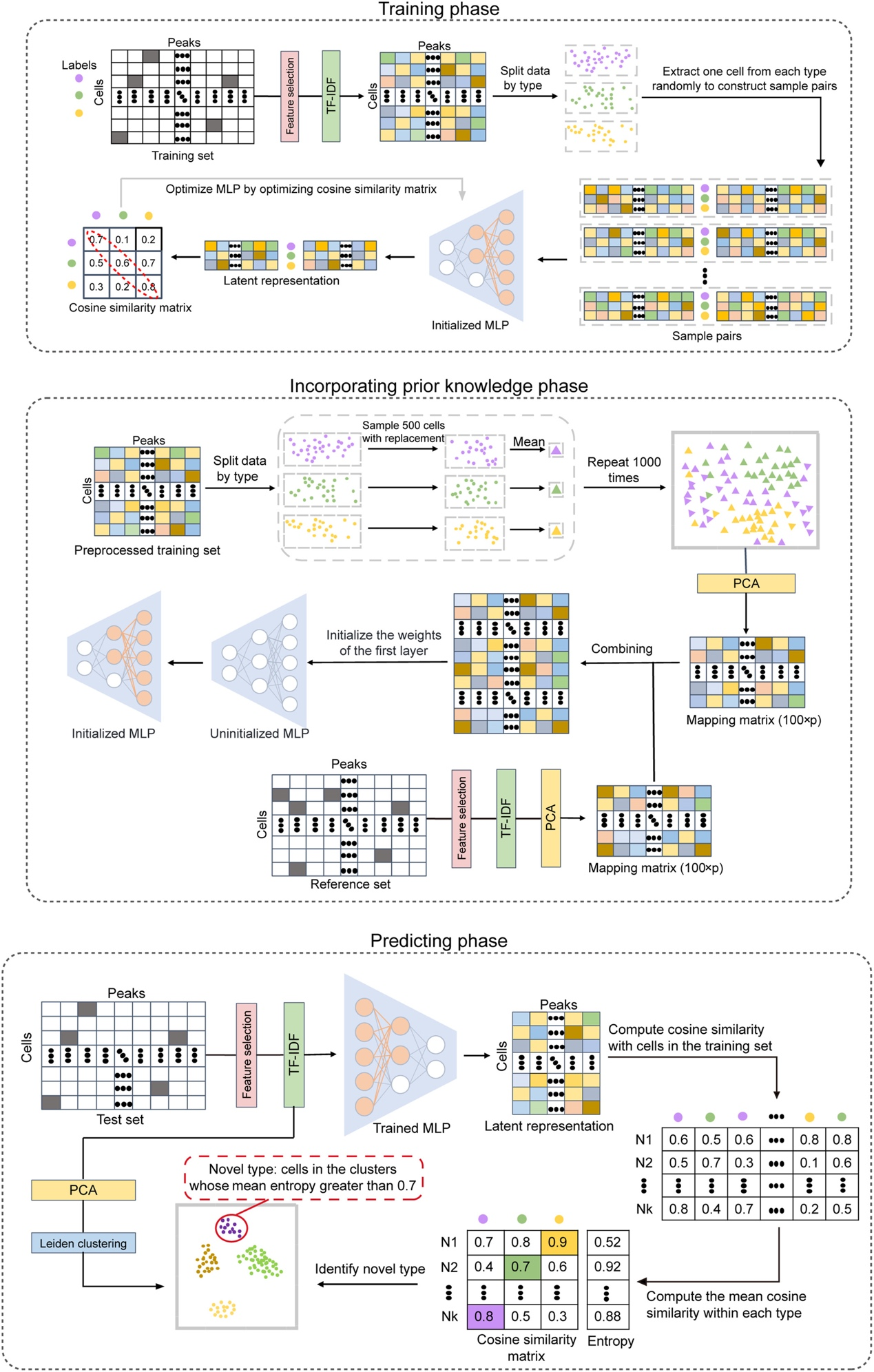Accurate cell type annotation for single-cell chromatin accessibility data via contrastive learning and reference guidance - Vimarsana News